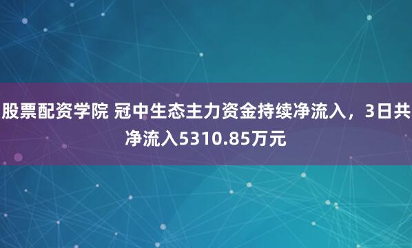 股票配资学院 冠中生态主力资金持续净流入，3日共净流入5310.85万元
